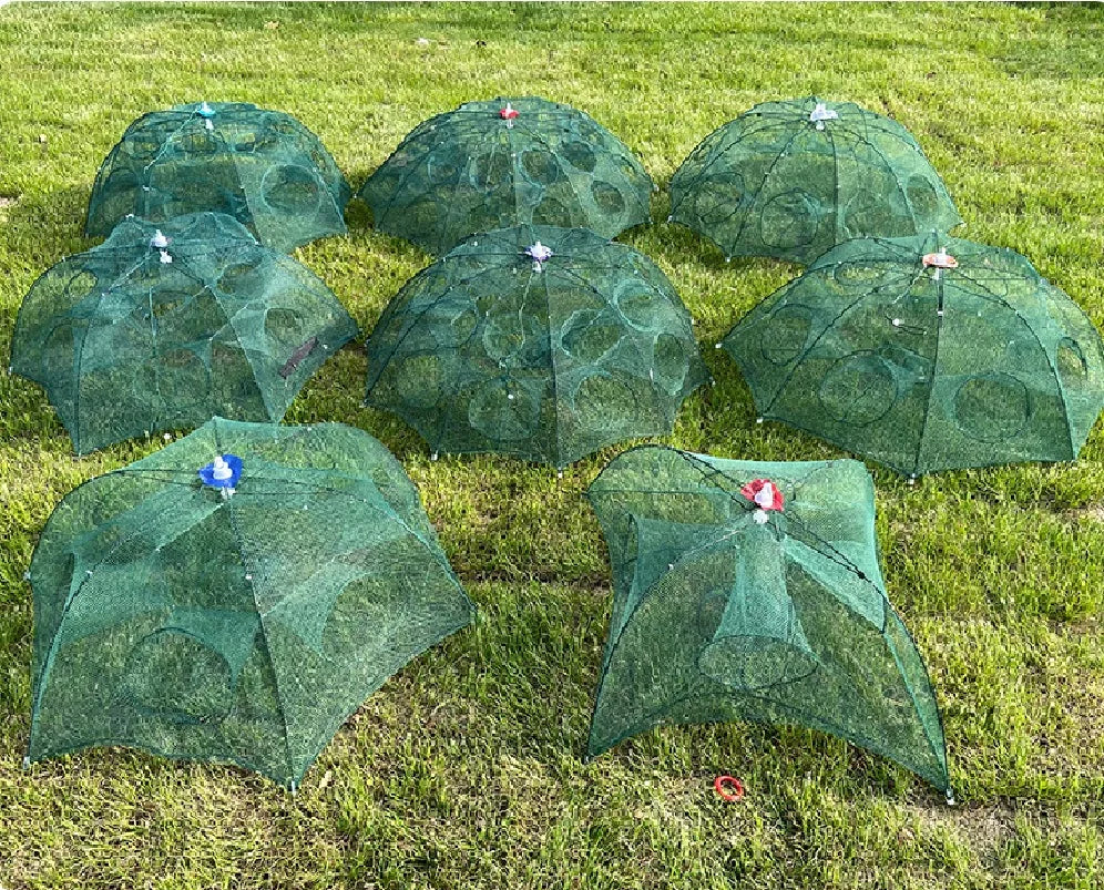 Piège à poissons pliable en forme de parapluie.