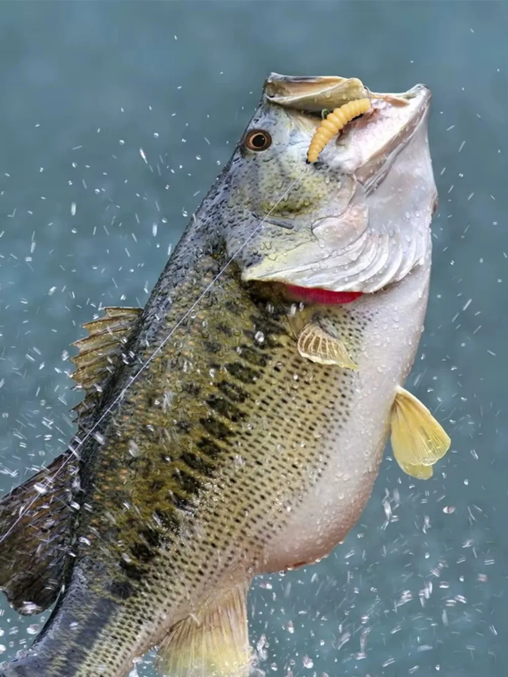 Leurre de pêche souple 2 cm 0,4 g Vers artificiels. - OCEANIS GEAR