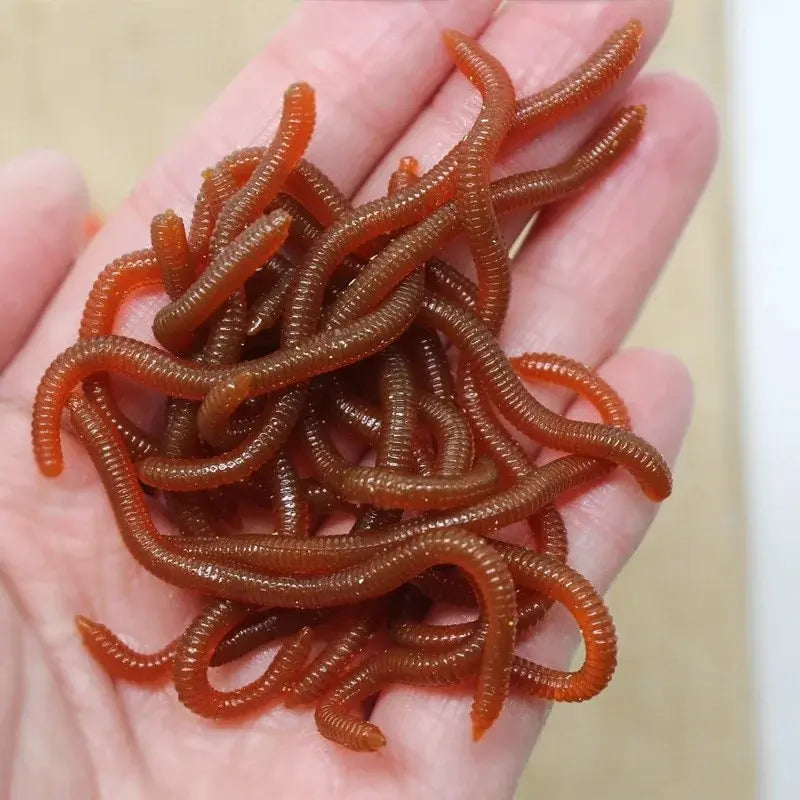 Leurres de pêche artificiels à l'odeur de poisson - OCEANIS GEAR