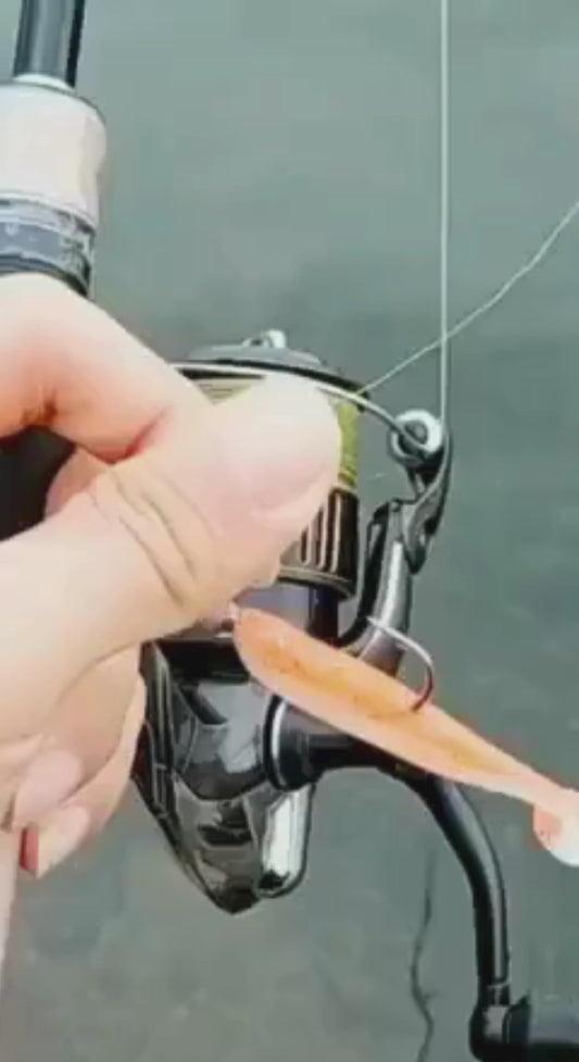 Leurre Souple Shiner 50-100mm - Appât Brochet