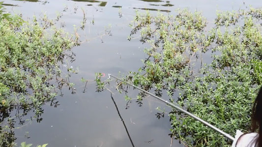 شبكة صيد قابلة للطي أوتوماتيكيًا - متعددة المداخل